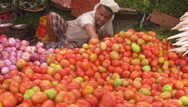 لأول مرة الكيلو الطماطم بخمسمائة ريال في سوق لحج