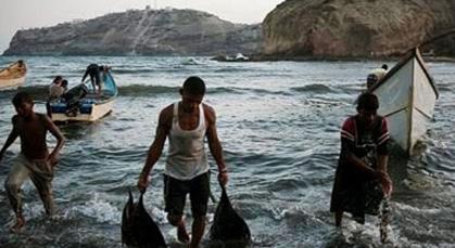 الجمبري و الحبار والشروخ في البحر الأحمر مهددون بالإنقراض