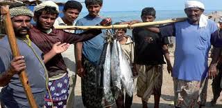  الثروة السمكية بالحديدة.. إهمال وتقصير.. أسماك في طريقها للانقراض.. صيادون يعذبون في أرتيريا