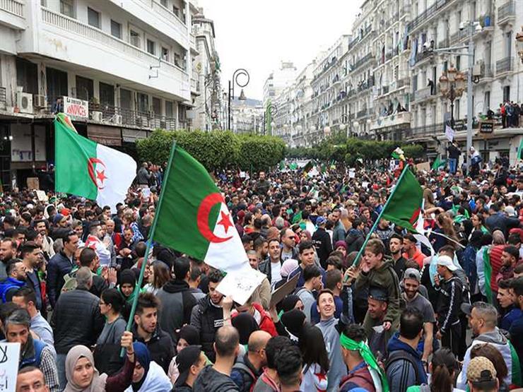 الناطق الرسمي للرئاسة الجزائرية يهاجم “الفئة الدخيلة” على الحراك الشعبي