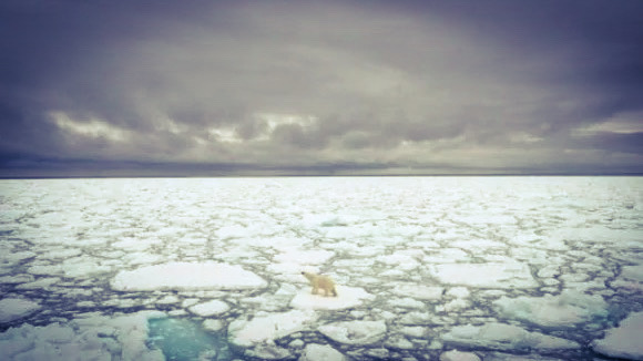 فقدان 17 شخصا في غرق سفينة صيد روسية في القطب الشمالي