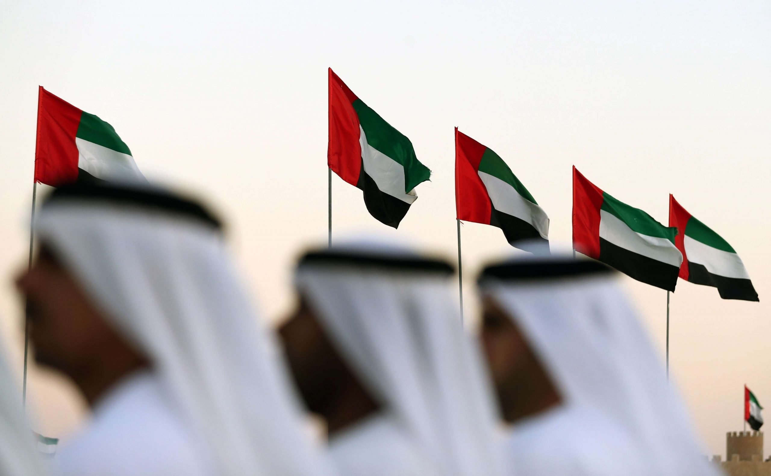 خبيرة أممية تدعو للإفراج الفوري عن نشطاء حقوقيين في الإمارات