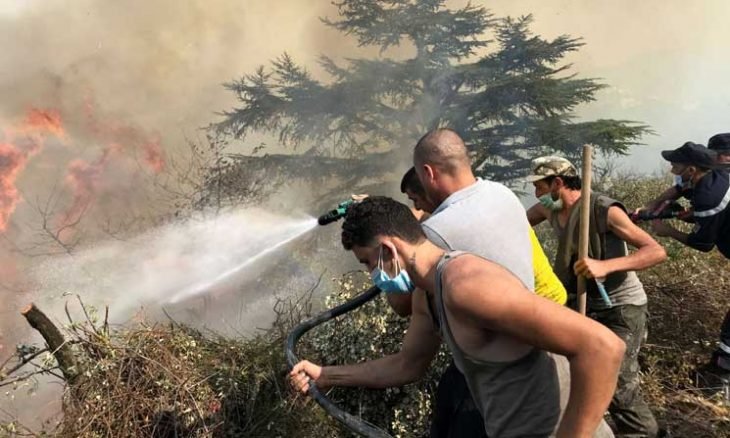 19 حريقا ما زال مشتعلا في غابات الجزائر