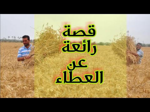 من أجمل قصص العطاء: