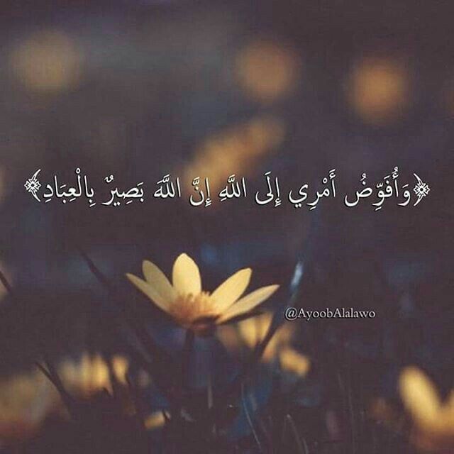 ما أحلى أن.. أَفوَضَ أمَرِيَ الَىَ اللَهَ: