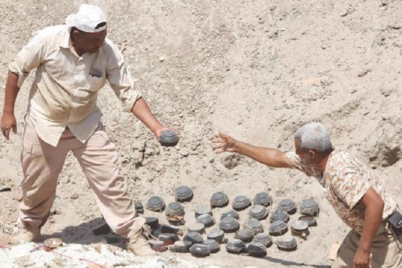 شبوة.. تدمير كمية جديدة من الألغام الحوثية وتحذيرات من مناطق واسعة ملغومة