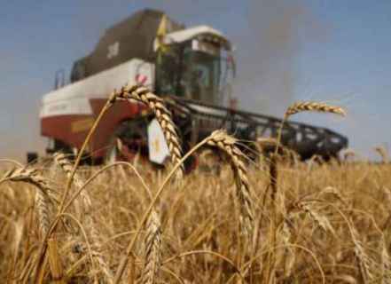 مسؤول جزائري: الأزمة الأوكرانية لن تؤثر على واردات القمح