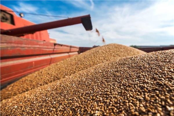 كييف: سيتم تصدير الحبوب عبر ثلاثة موانئ أوكرانية