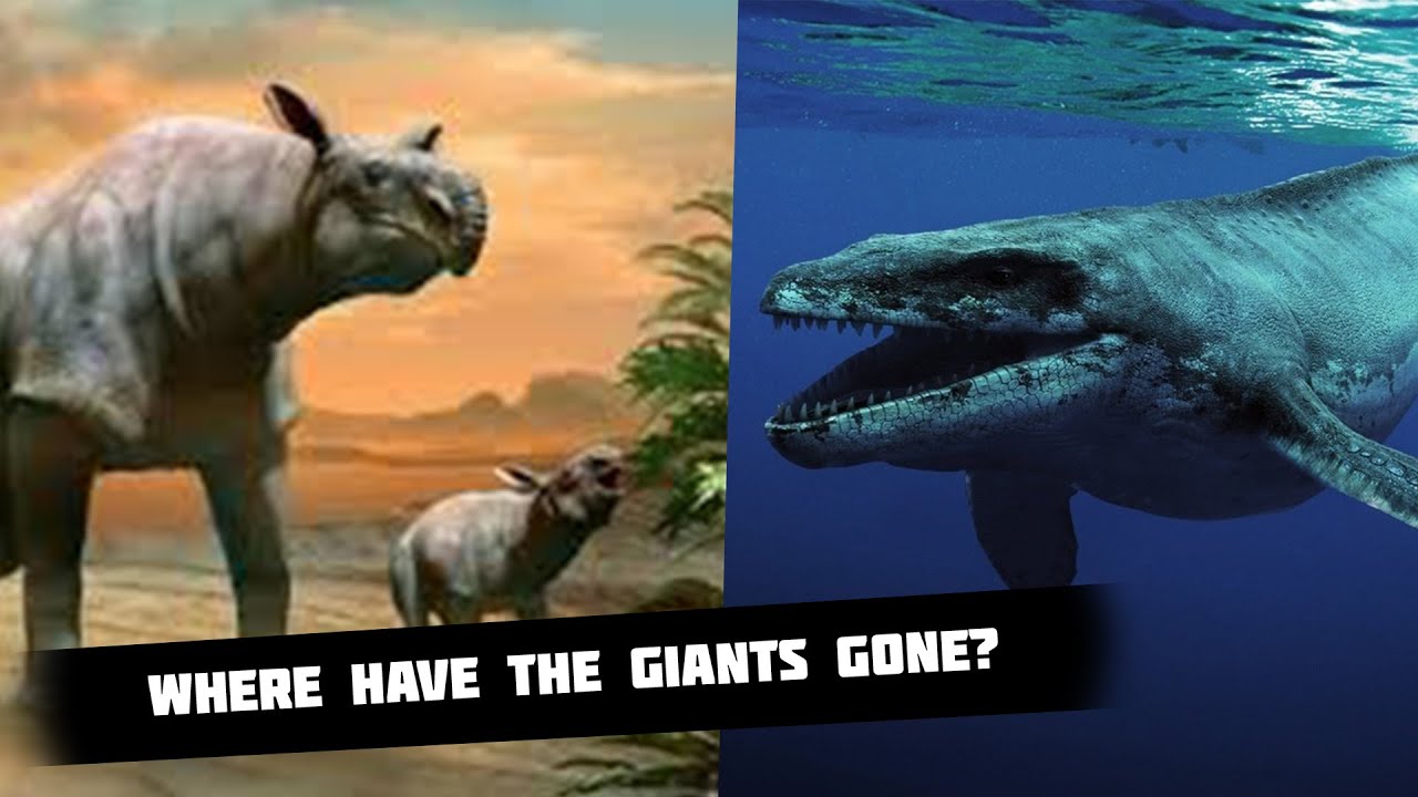 لم يبق سوى الحوت الأزرق.. لماذا اختفت الحيوانات العملاقة مثل الديناصورات
