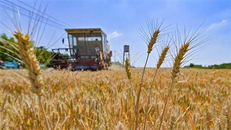 الأمم المتحدة تأمل في تمديد اتفاق للسماح باستمرار صادرات الحبوب الأوكرانية