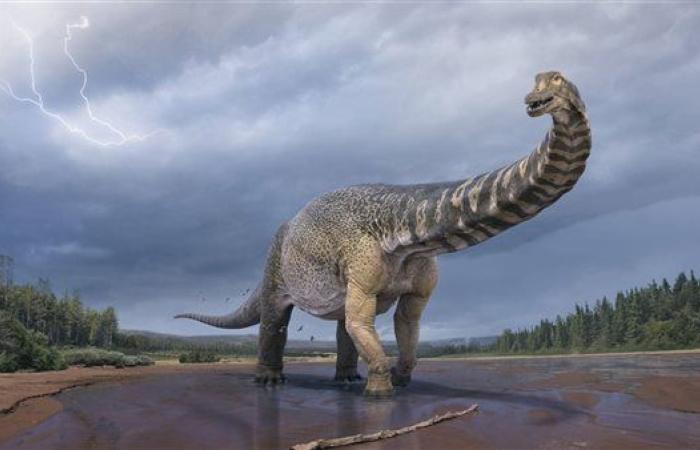 دراسة حديثة تكشف وجود ديناصور له رأس مسطح عاش منذ حوالي 70 مليون سنة 