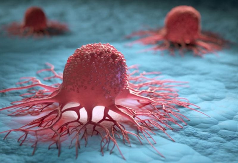 دراسة أمريكية تنجح في اكتشاف جزء يمكنه إيقاف نمو سرطان البنكرياس 