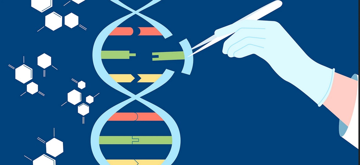 تعديل القواعد الوراثية المفردة.. تقنية جديدة تبشر بثورة في الأبحاث البيولوجية والطبية