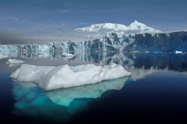 الجليد يكشف خبايا عجيبة بسيبيريا.. جثة أسد تعود لآلاف السنين 