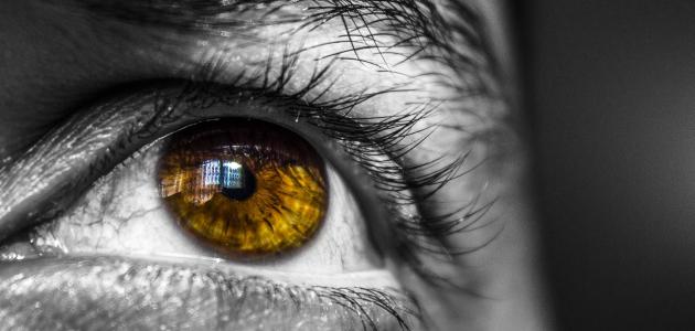 هل هناك عوامل وراثية تسبب الإصابة بالعمى؟.. تقرير يوضح 