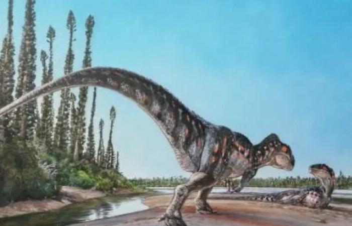 اكتشاف بصمة مخلوق عملاق على ساحل الديناصورات في المملكة المتحدة..