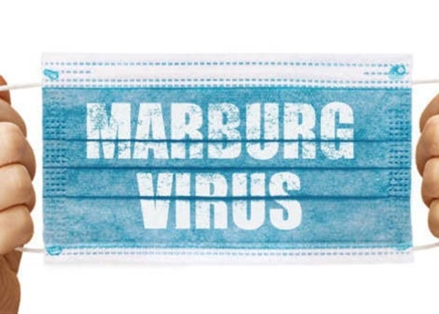 ماربورغ... ما هو الفيروس المتخفي وكيف يحوّل ضحاياه لأشباح؟