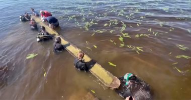 استعادة زورق أمريكي عمره 1000 عام من أعماق بحيرة واكاماو