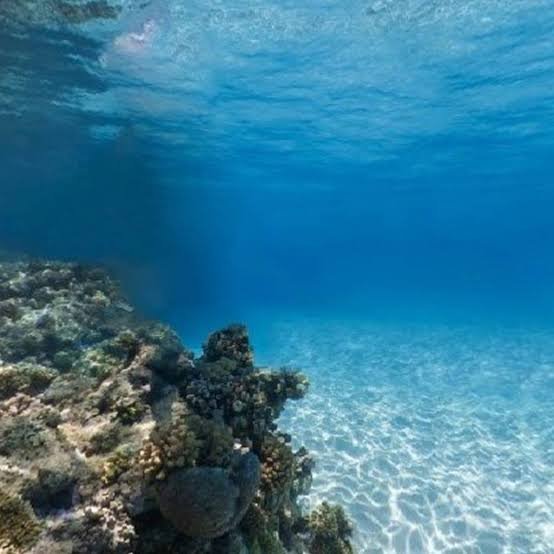 العلماء يكتشفون خروج سائل غامض دافئ من قاع أوريجون البحري..