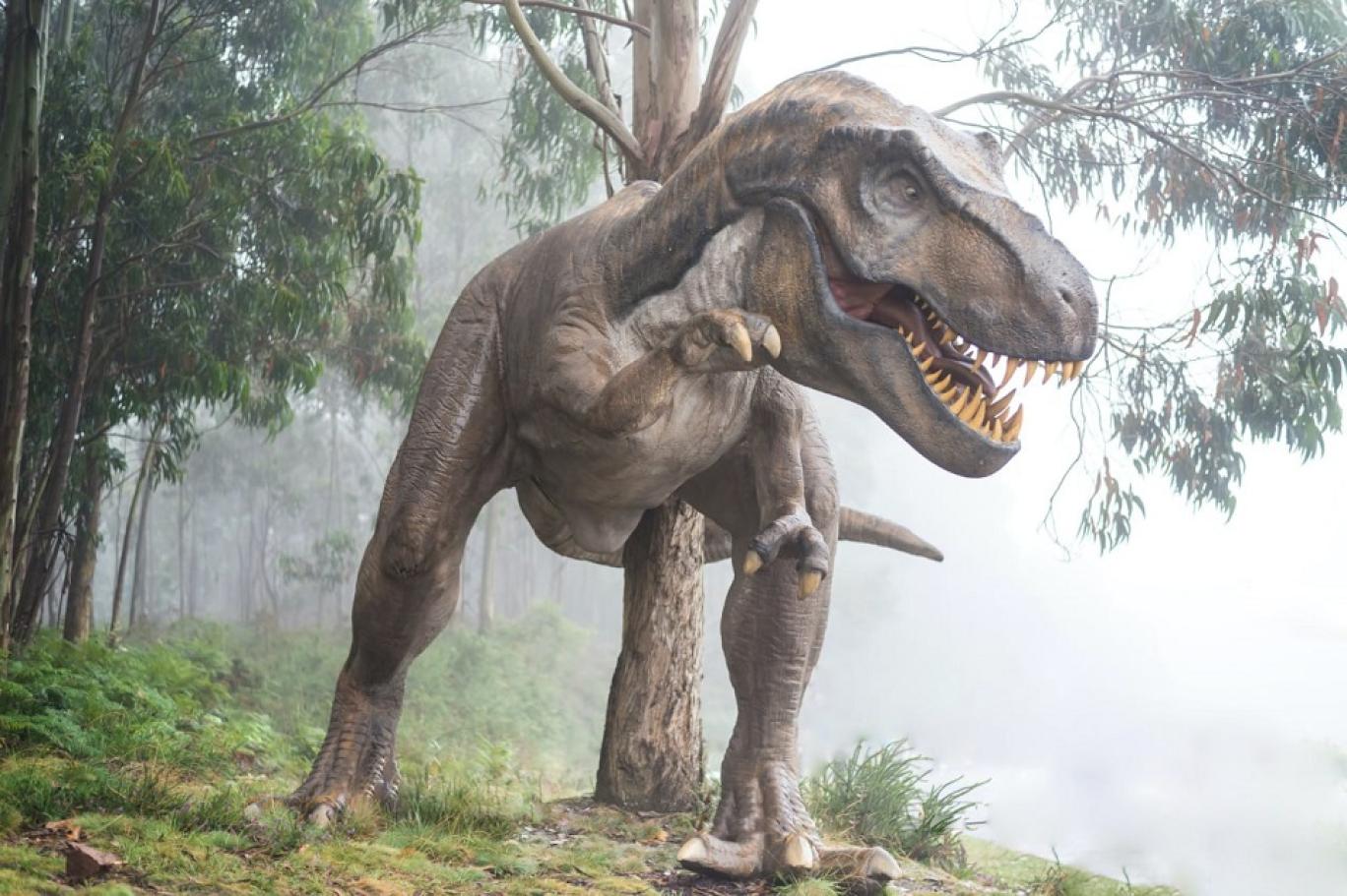 ما سر شهرة الديناصورات والاهتمام بها؟