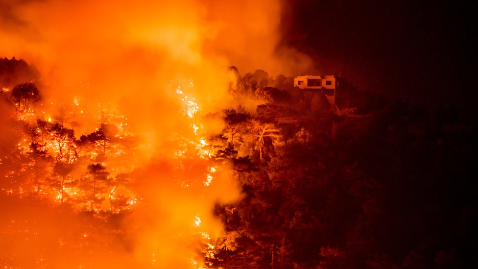 دراسة تكشف أسباب ثلث حرائق الغابات في أميركا الشمالية