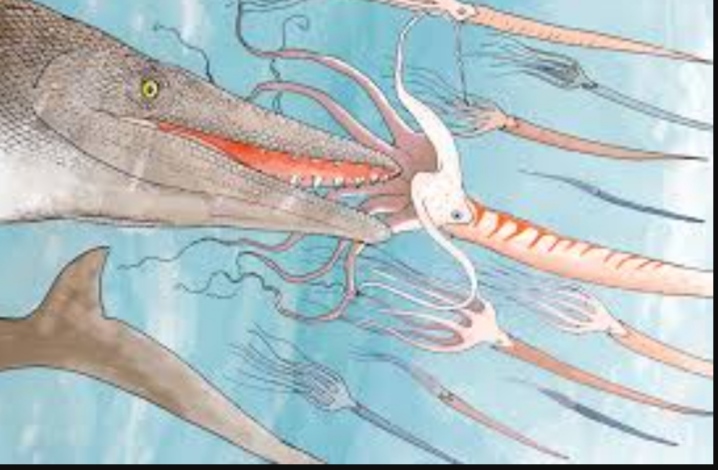 عاش قبل 66 مليون سنة.. اكتشاف نوع غير معروف من الزواحف البحرية النادرة بالمغرب