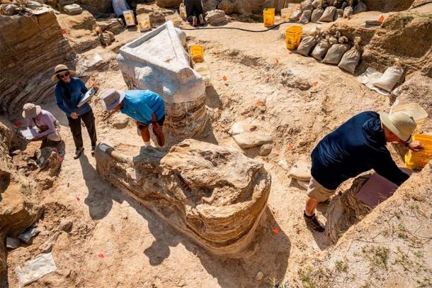 اكتشاف مقبرة أفيال يبلغ عمرها ستة ملايين عام في فلوريدا..