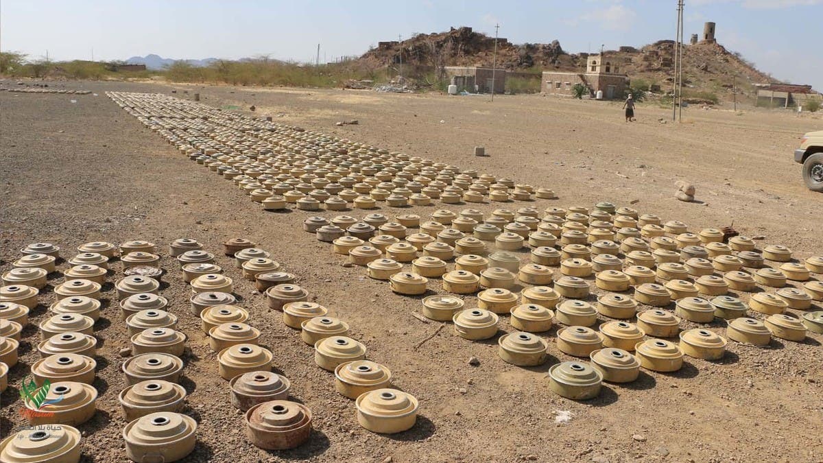 الحرب الحوثية الممنهجة وآثارها المدمرة على البيئة اليمنية