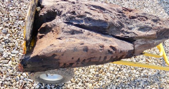 عثر عليه بالصدفة.. اكتشاف خشب منحوت عمره 6 آلاف عام في إنجلترا