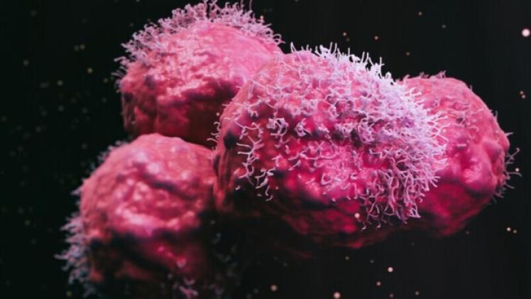 تطوير تقنية الطباعة الحيوية الثلاثية الأبعاد للعلاج المناعي للسرطان