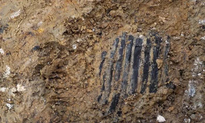 العثور على أقدم مشط خشبى من العصر البرونزي في ويلز 