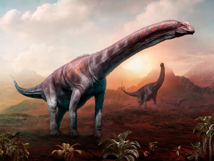 تعرف على أضخم المخلوقات حول العالم غير الدنياصورات 