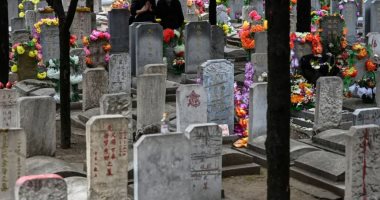 مقابر ديجيتال.. الصين تلجأ للدفن الرقمي بدلاً من التقليدي لتوفير المساحات والتكاليف 