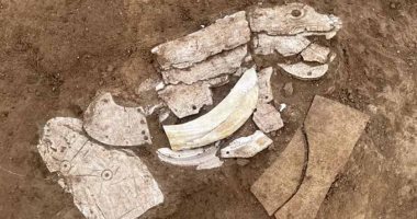 اكتشاف زخارف تنين قديم يلقى الضوء على ثقافة العصر الحجري الحديث 