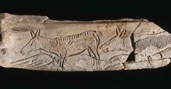 نقش على عظمة قدم حيوان الرنة يبلغ عمره حوالي 15000 عام