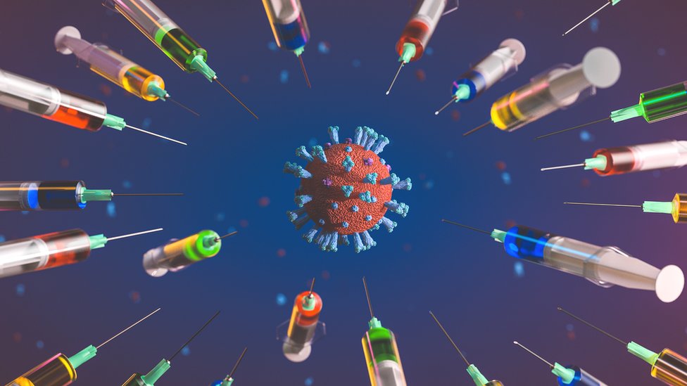 دراسة تكشف سرعة تطور فيروس 