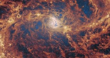 صورة تلسكوب جيمس ويب الفضائي تظهر حديقة مجرية مليئة بالنجوم الناشئة 