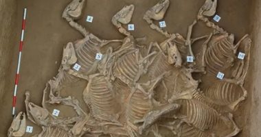 علماء الآثار يعثرون على بقايا مدينة من العصر البرونزي في الصين