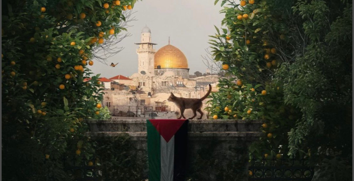 كاد يكون علَم البلاد بلونه.. “برتقال يافا”، رمز فلسطين الذي كان يُصدَّر إلى كل العالم وسرقه الاحتلال