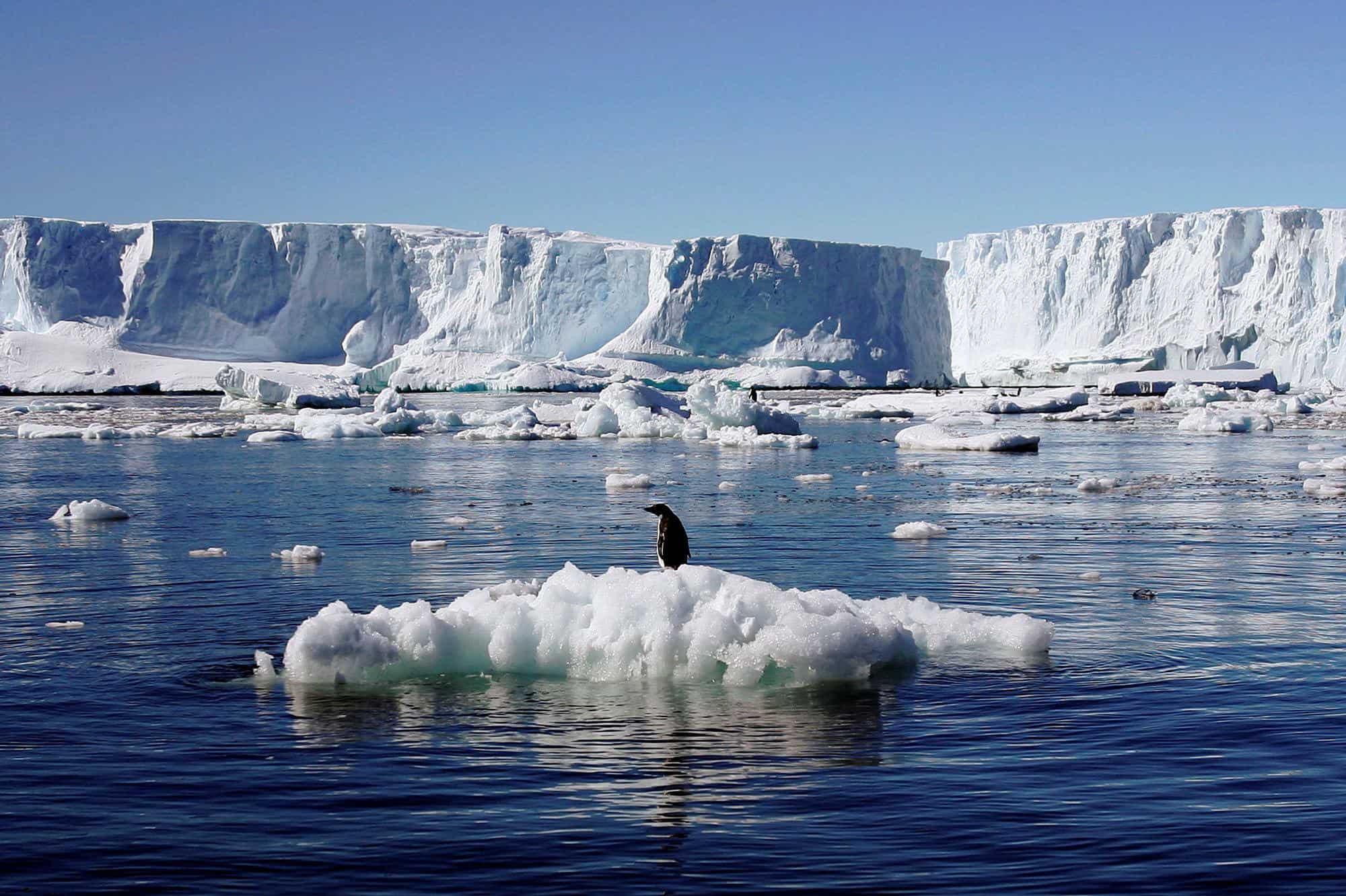 ماذا لو ذاب كل الجليد في القطب الجنوبي؟