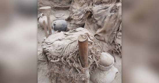اكتشاف 73 مومياء من عصر ما قبل الإنكا في بيرو 