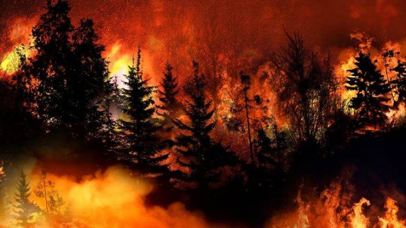 حرائق الغابات تحول بعض معادن التربة إلى مواد مسرطنة خطيرة