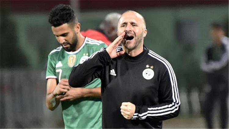 بلماضي يستبعد فوز الجزائر بـ«أمم أفريقيا»
