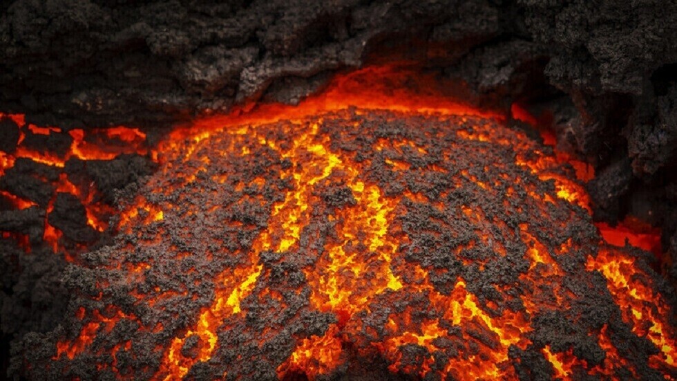العثور على غابة مفقودة دفنها بركان عنيف انفجر قبل 22 مليون سنة