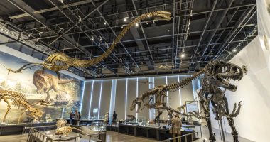تعرف على حديقة ديناصورات يابانية تحوي آثارا تعود إلى 80 مليون سنة 