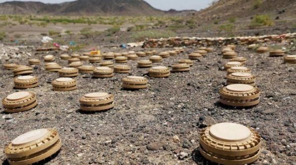 أمريكا: ميليشيا الحوثي زرعت أكثر من مليوني لغم باليمن وإزالتها تستغرق 8 سنوات