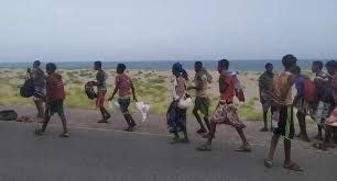 إصابة 11مهاجرا أفريقيا بنيران ميليشيا الحوثي شمال صعدة