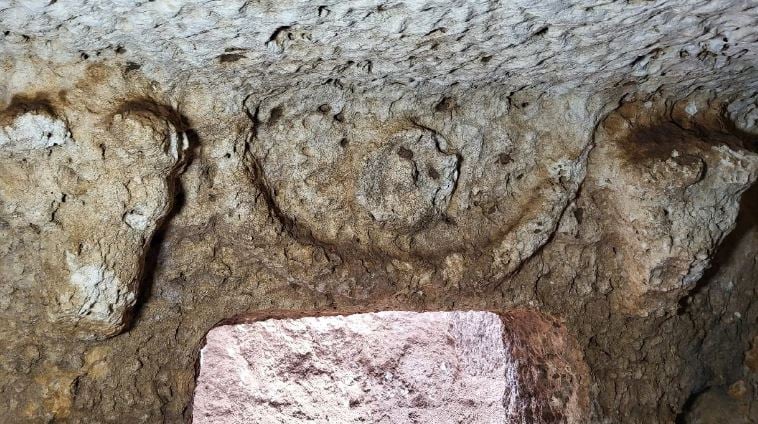العثور على مقبرة من العصر الروماني تحرسها رؤوس ثيران منحوتة بتركيا