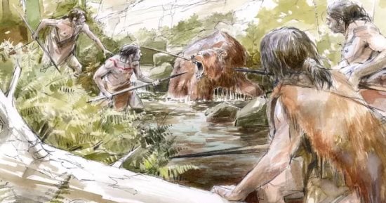 دراسة: البشر سر انقراض دببة الكهوف قبل 24 ألف عام 
