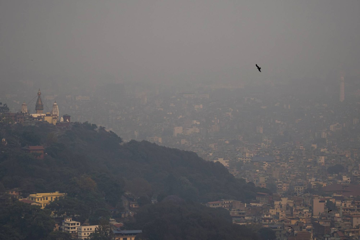 135 مليون وفاة مبكرة خلال 40 سنة بسبب تلوث الهواء